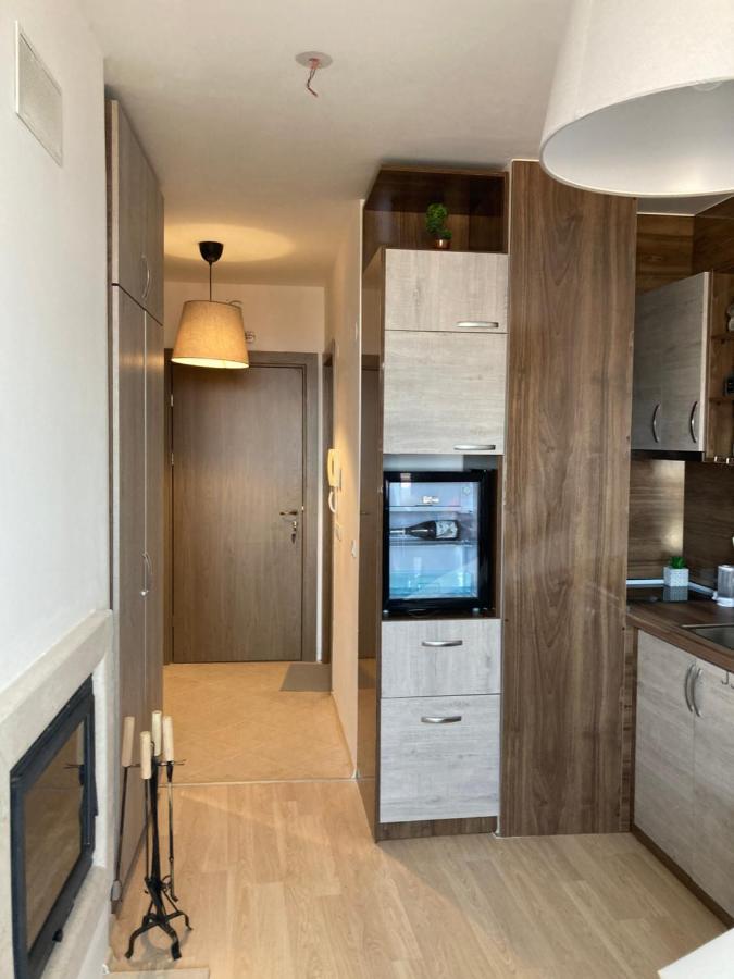 Mirabell Studio Bansko - Amazing View & Fireplace Bagian luar foto