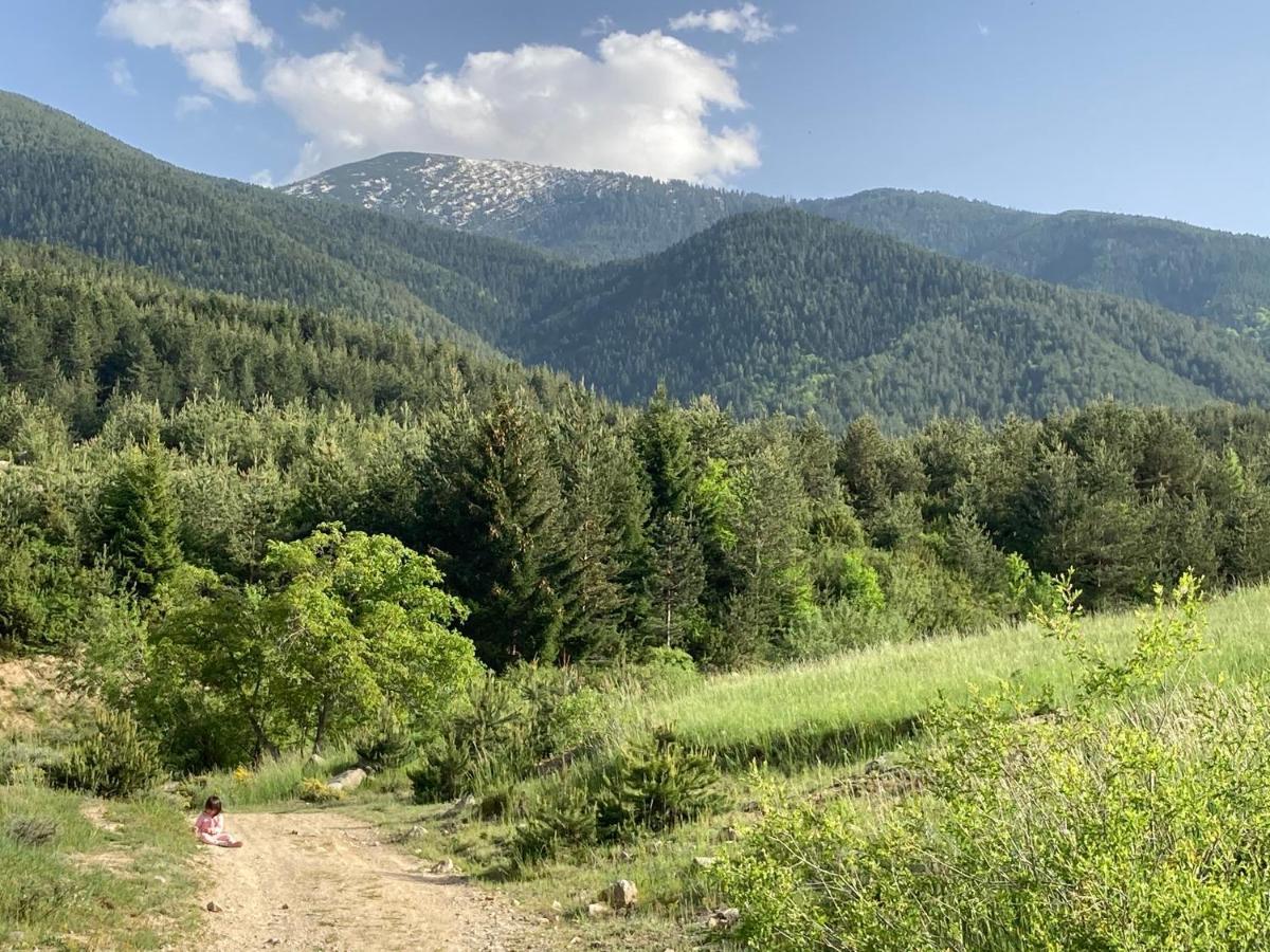 Mirabell Studio Bansko - Amazing View & Fireplace Bagian luar foto